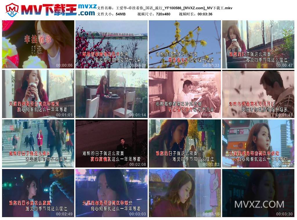 王爱华-牵挂着你_国语_流行_YF100586